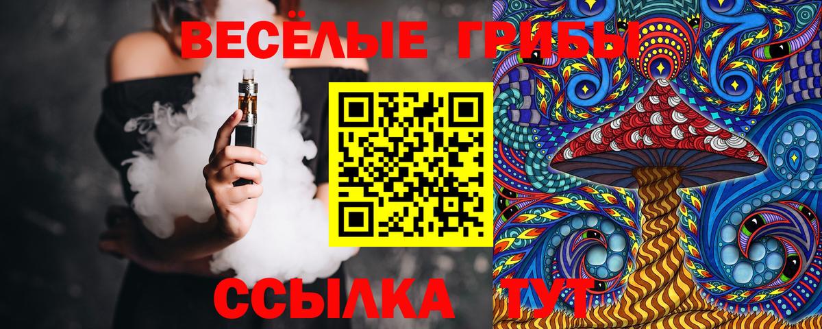 Лосино-Петровский  Псилоцибиновые грибы Magic Shrooms  Вход с VPN 