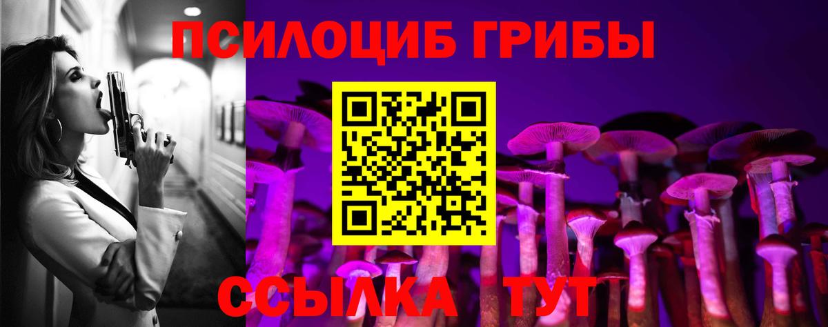 Псилоцибиновые грибы MAGIC MUSHROOMS Лосино-Петровский